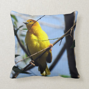 Weaver Bird Coussin