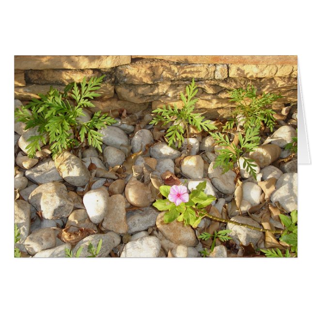 Weeds (Devant Horizontal)