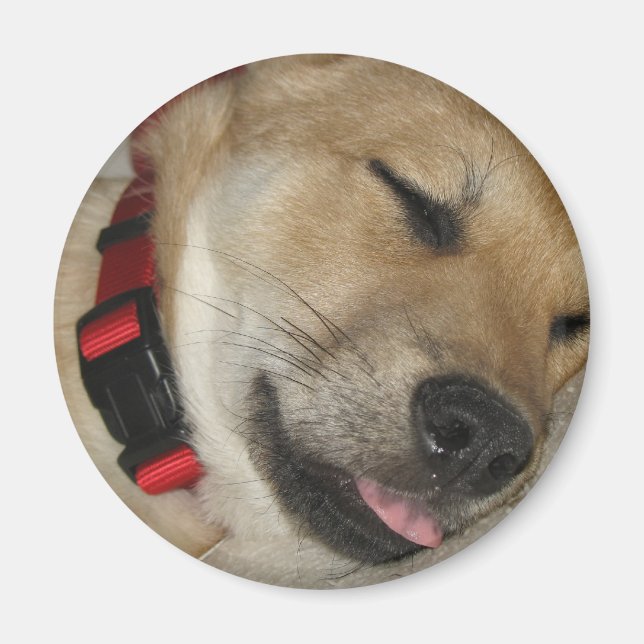 Weekend Dexter Bebe Magnet (Devant)