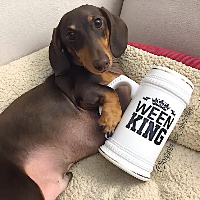 Ween King Dachshund Papa Stein Mug - Fête des père (Big dachshund dad mug to show who's king of the house...or at least let the human think he is :-))
