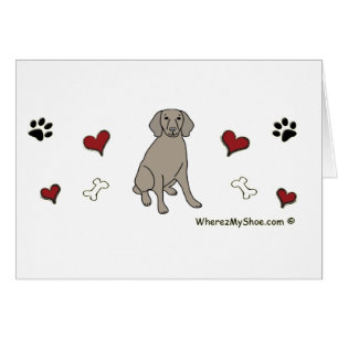 Weimaraner