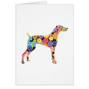 Weimaraner