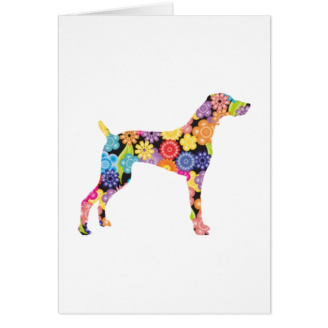 Weimaraner (Devant)