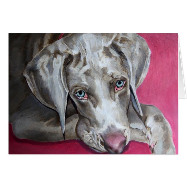 Weimaraner (Devant horizontal)