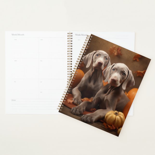 Weimaraner Chiot Automne Citrouille délice (Devant avec enveloppe)