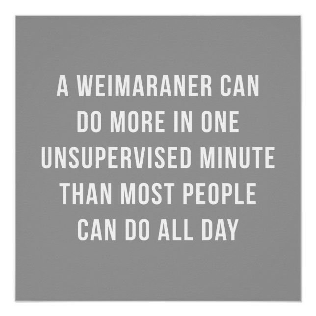 Weimaraner En Une Minute Poster Parfait (Devant)