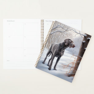 Weimaraner Laisser Neige Noël