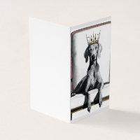 Weimaraner portant une couronne assise sur une cha