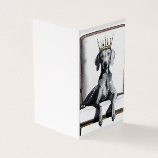 Weimaraner portant une couronne assise sur une cha