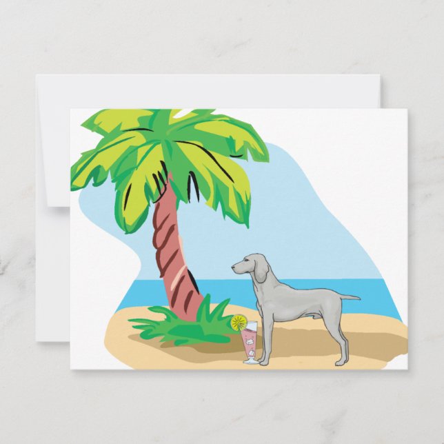 weimaraner tropical (Devant)