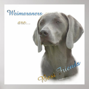 Weimaraners sont les meilleurs amis Poster