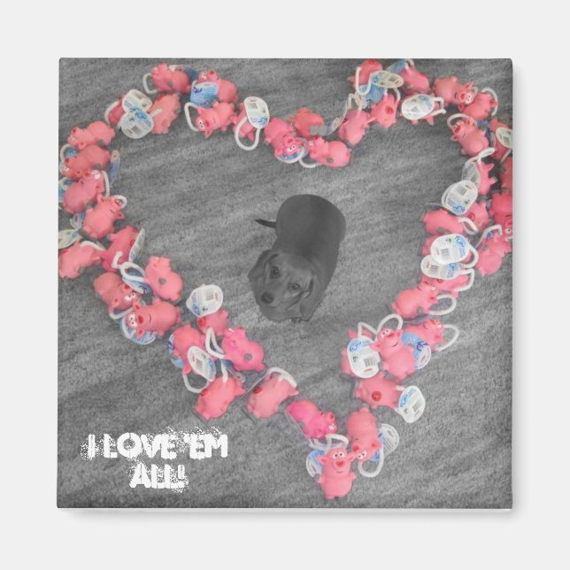 Weiner Chien Aimant Coeur (Devant)