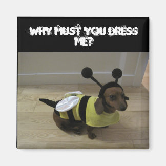 Weiner Chien Halloween Magnet