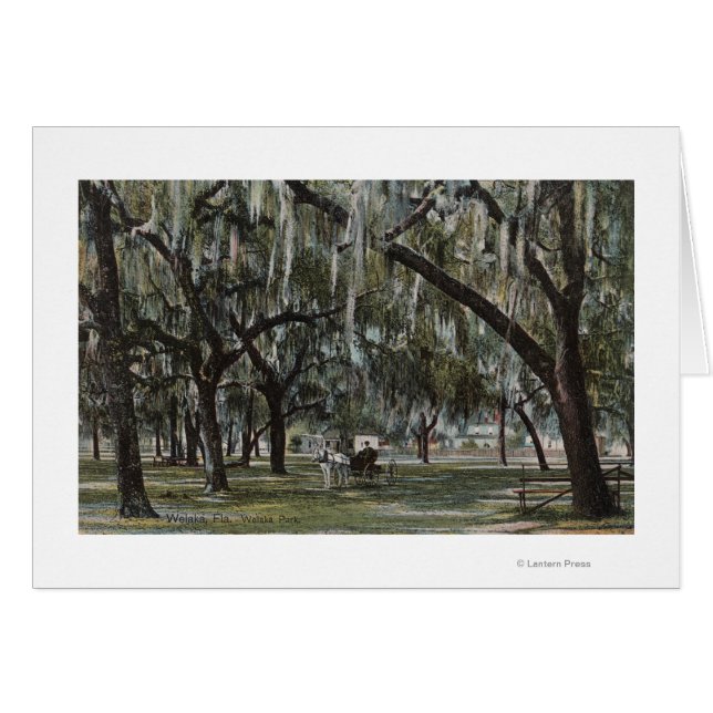Welaka, FL - Vue sur Welaka Park & Mossy Trees (Devant horizontal)