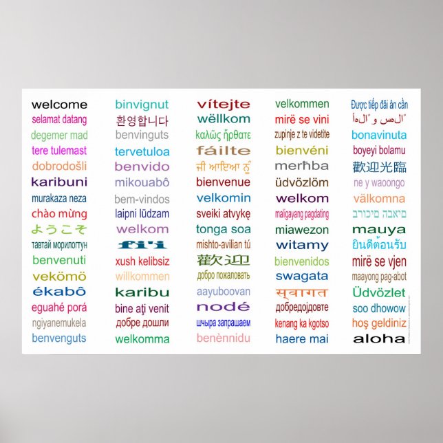 Welcome in 80 Languages Poster (Devant)