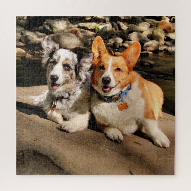 Welsh Corgis Puzzle (Vertical)