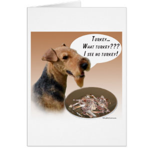 Welsh Terrier Turquie