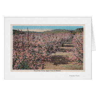 Wenatchee, WAView des pommiers en fleurs