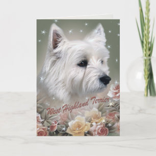 West Highland terrier parmi les cartes roses
