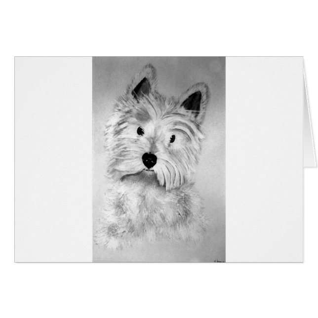 West Highland White Terrier (Devant horizontal)