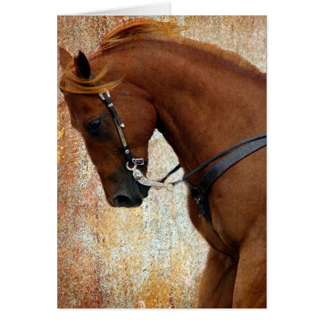 Western Horse Sorrel Grunge (Devant)