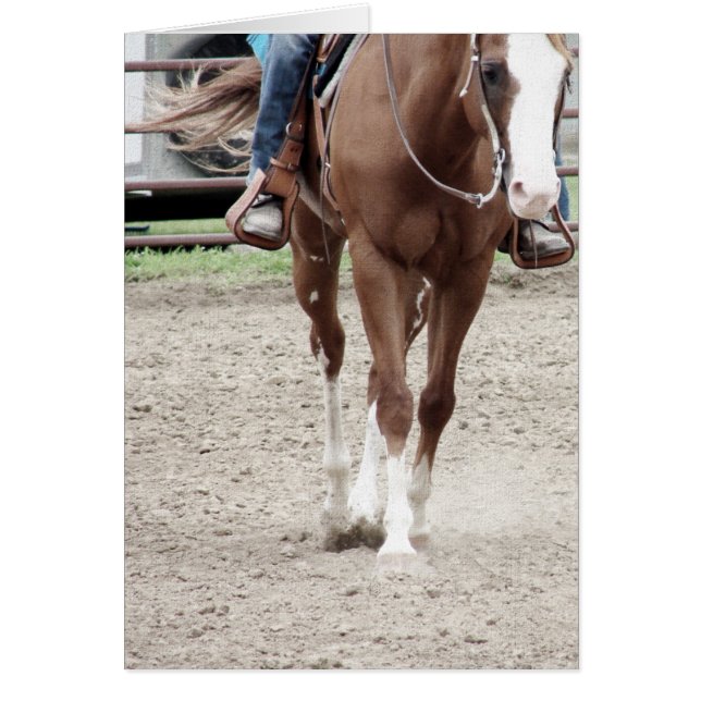 Western Riding (Devant)