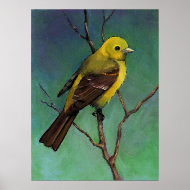Western Tanager, affiche d'art faunique (Devant)