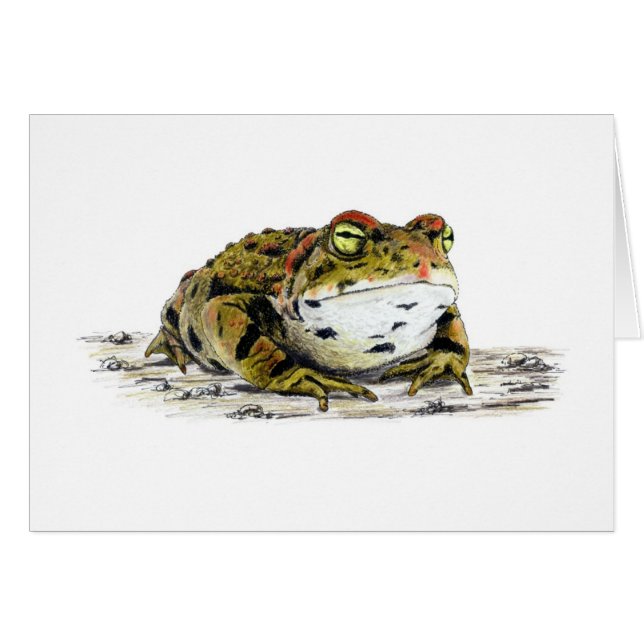 Western Toad Card (Devant Horizontal)