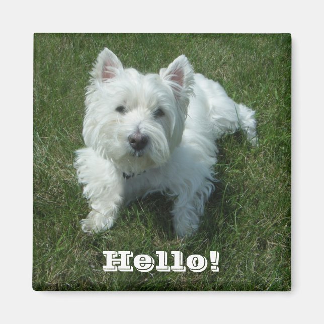 Westie Hello Photo Magnet (Devant)