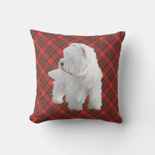 Westie sur COUSSIN Tartan