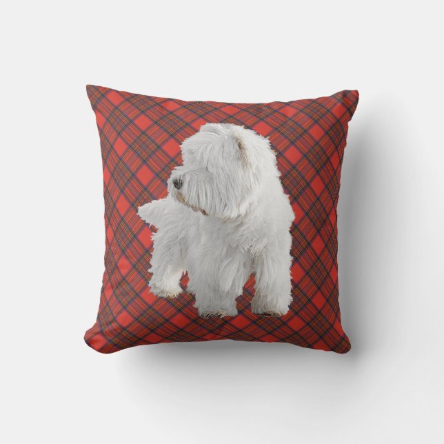 Westie sur COUSSIN Tartan (Recto)