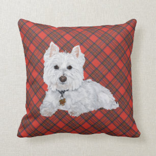 Westie sur le COUSSIN tatan