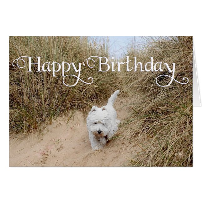 Westie sur les dunes de sable (Devant horizontal)