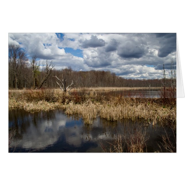 Wetland Cloudscape (Devant horizontal)