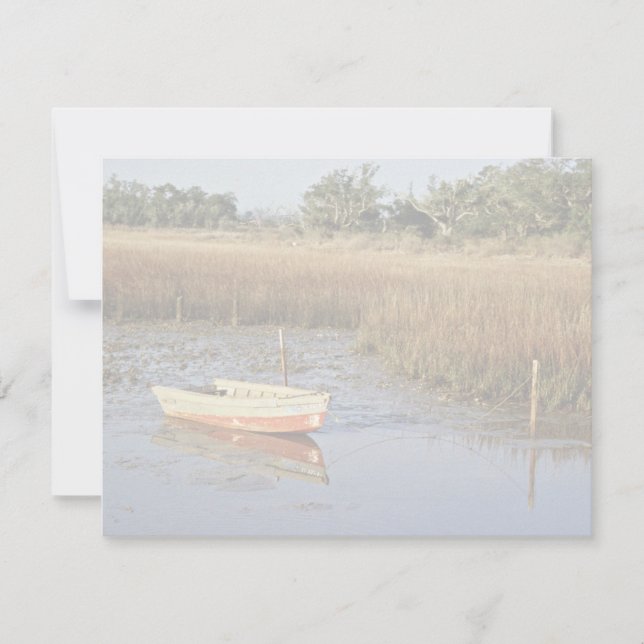 Wetland Myrtle Beach (Devant)