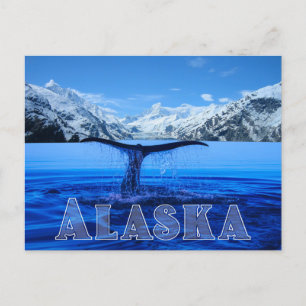 Whale Tail Alaska - Carte postale