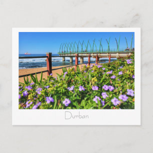 Whalebone Pier Umhlanga Durban SA Carte postale
