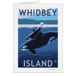 Whidbey Island, Washington Orca et Calf