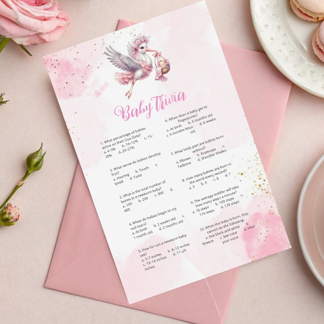 Whimsical Pink Stork Baby shower Trivia Jeu (Créateur téléchargé)
