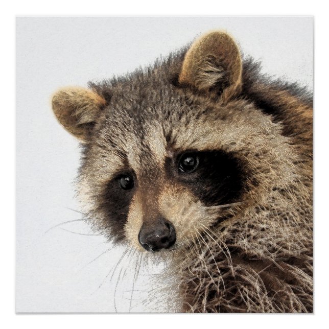 Whimsical Raccoon Glossy Poster (Devant)