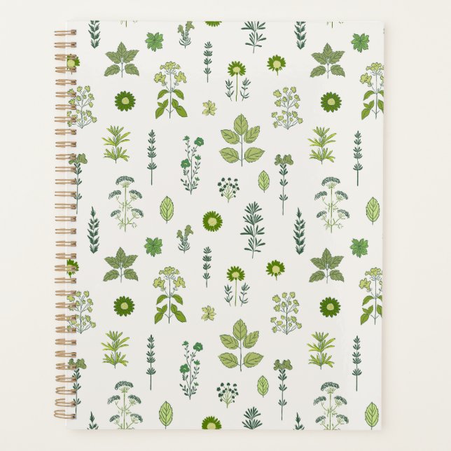 Whimsy Green sauvage (Devant)