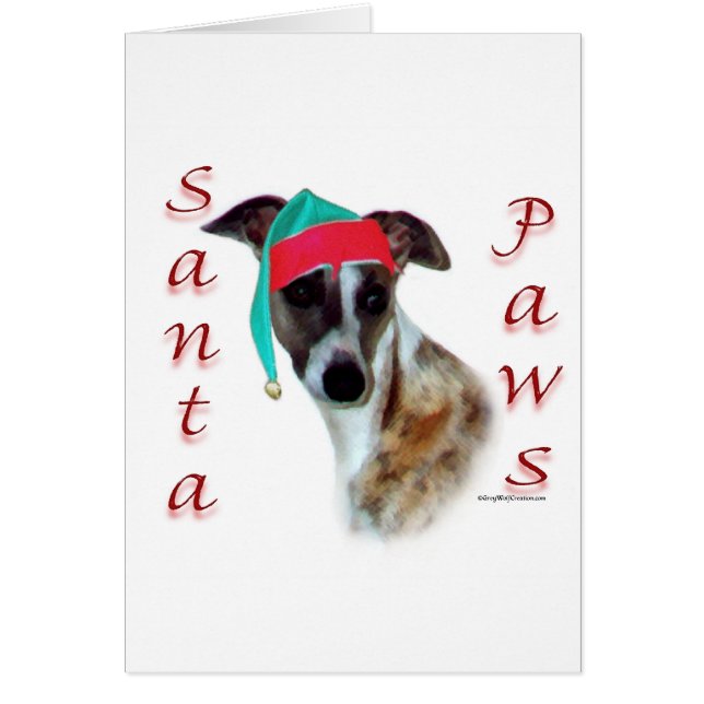 Whippet Père Noël Paws (Devant)