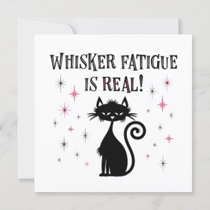 Whisker Fatigue est vraiment drôle Chat dit