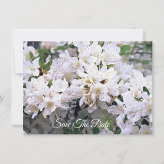 White Azalea Flat Enregistrer La Carte Date
