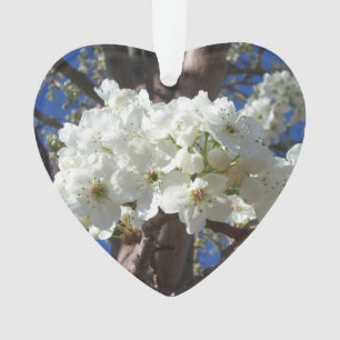 White Blossoms II