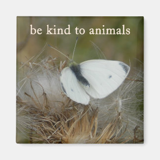 White Butterfly "Be Kind to Animals" Magnet