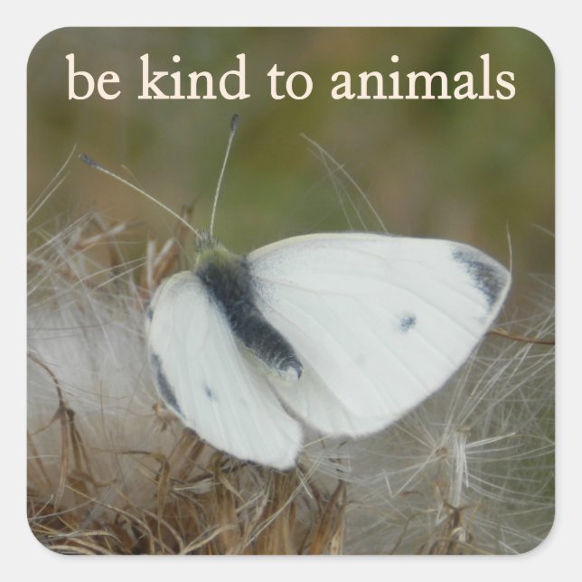 White Butterfly "Be Kind to Animals" Sticker Sheet (Devant)