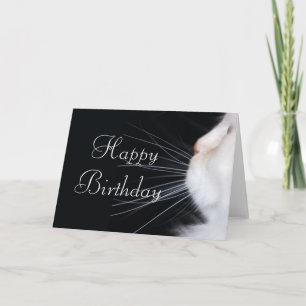 White Cat Design 1 Bonne carte de voeux d'annivers