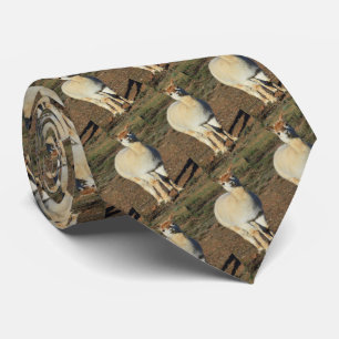 White Happy Big Wooly Alpaca, Cravate