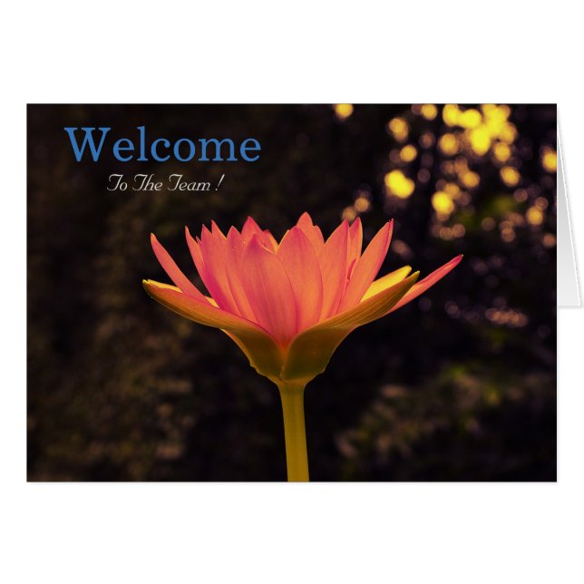 White Minimal Lotus Welcome Wishing (Devant horizontal)
